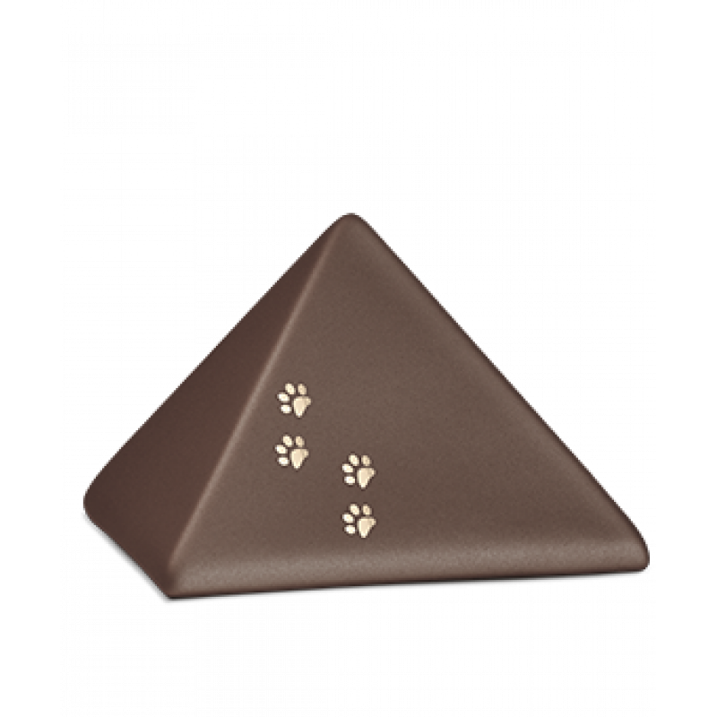 Edition Pyramide, velvet siena, vier Pfötchen gold glänzend