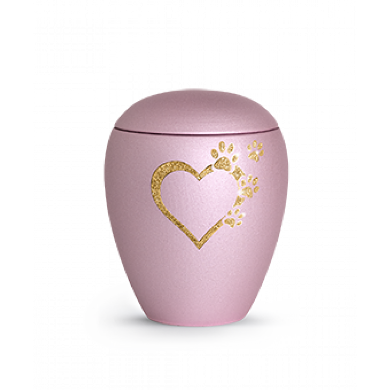 Edition Verona, velvet rosé, Sparkling Star Herz mit Pfoten in gold