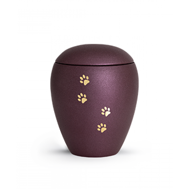 Edition Verona, velvet berry, vier Pfoten gold gebürstet