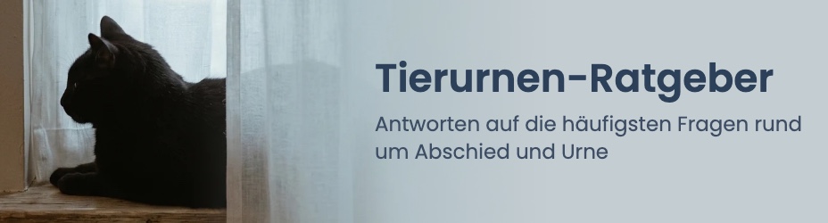 Tierurnen-Ratgeber: Antworten auf die häufigsten Fragen rund um Abschied und Urne